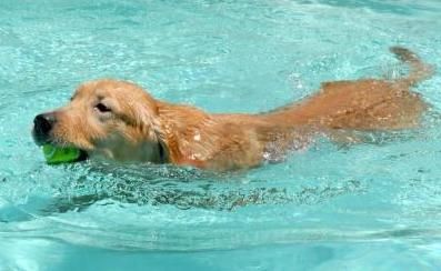 Obie "saving" the tennis ball