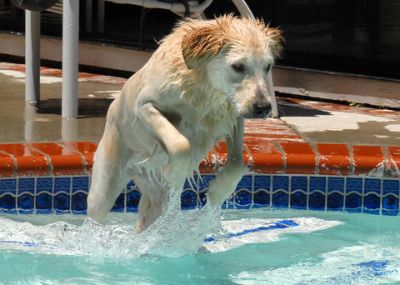 Obie, Jump Right In!