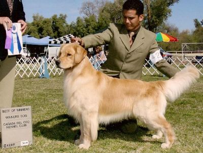 Best of Winners, Tonaka